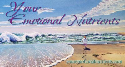 Your Emotional Nutrients banner Your Emotional Nutrients banner